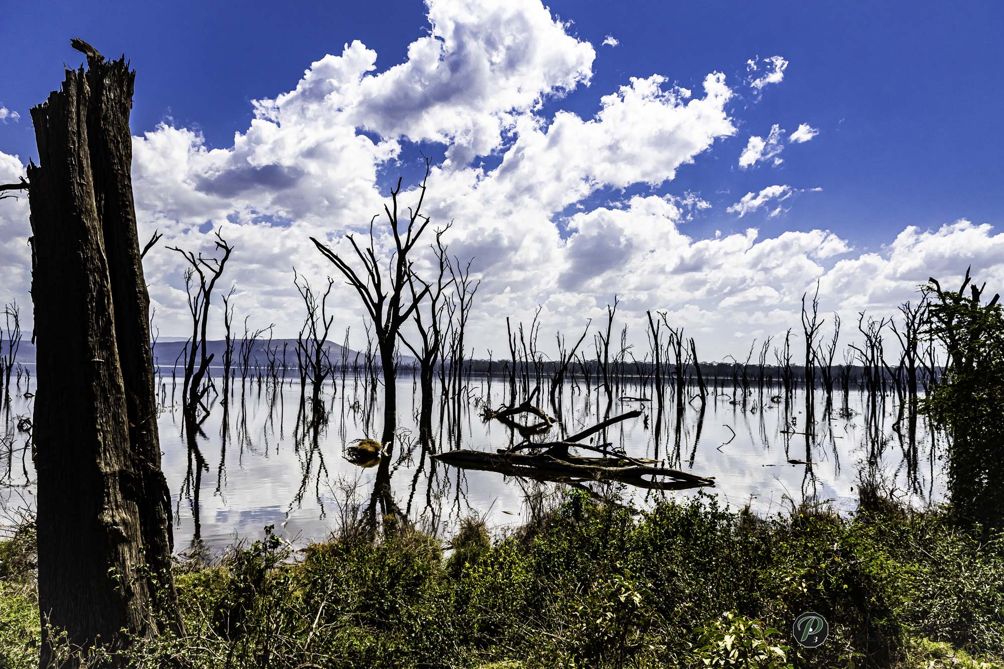  Lake Nakuru 