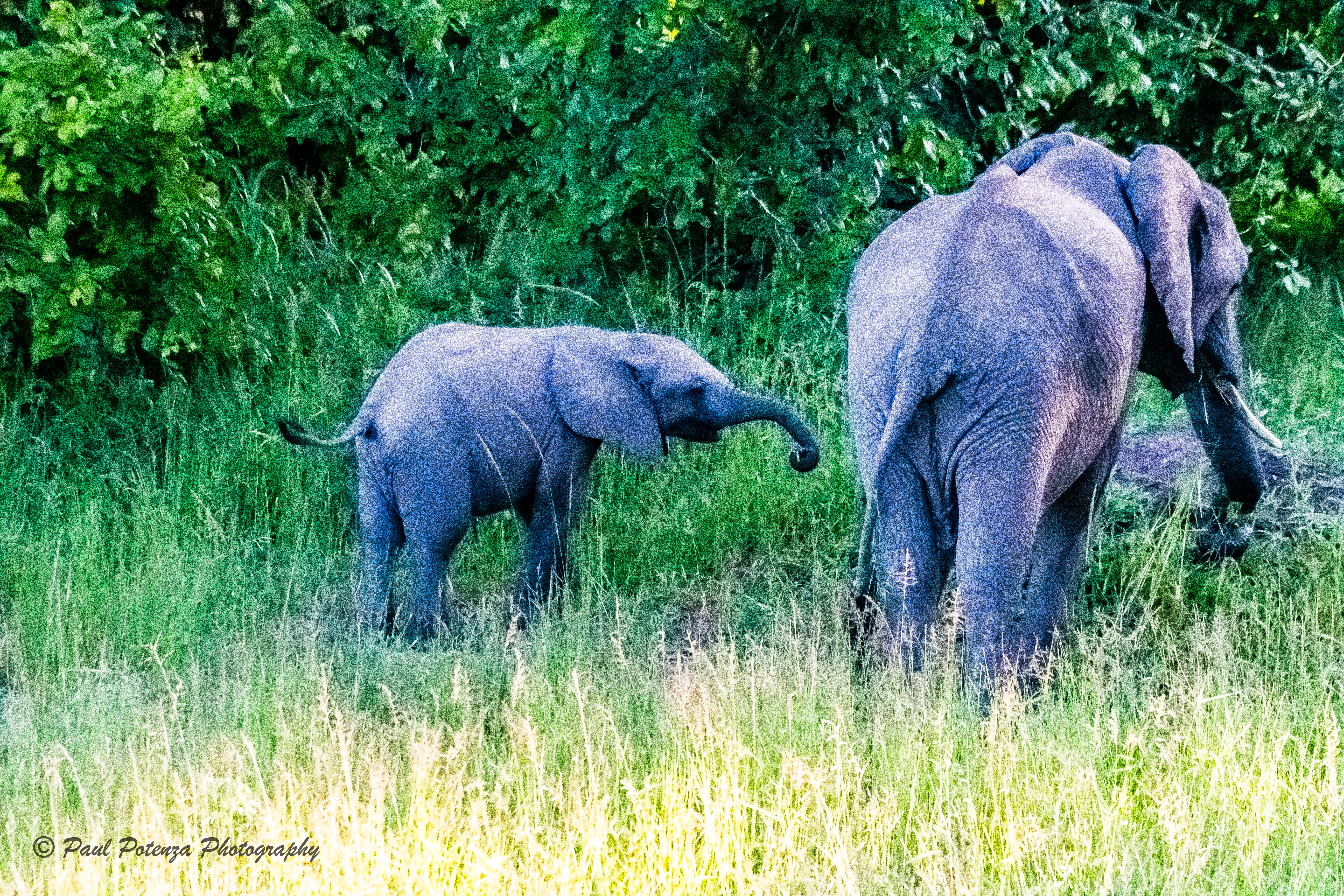  Exploring with Mom 